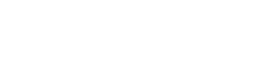 TEAM LEWIS