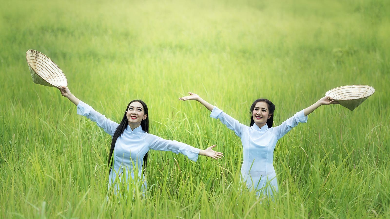 Vietnam Trade Agreements and Increasing Openness to Foreign Investment